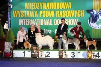 Best of Group V<br>judge: Małgorzata Supronowicz
